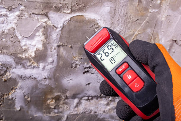 Attic Mold Removal in Millville, UT