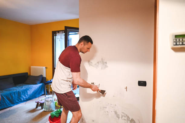 Best Professional Mold Removal  in Millville, UT